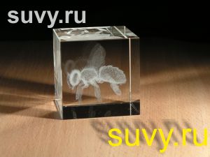 Производство сувениров: Куб с трехмерным изображением пчелы